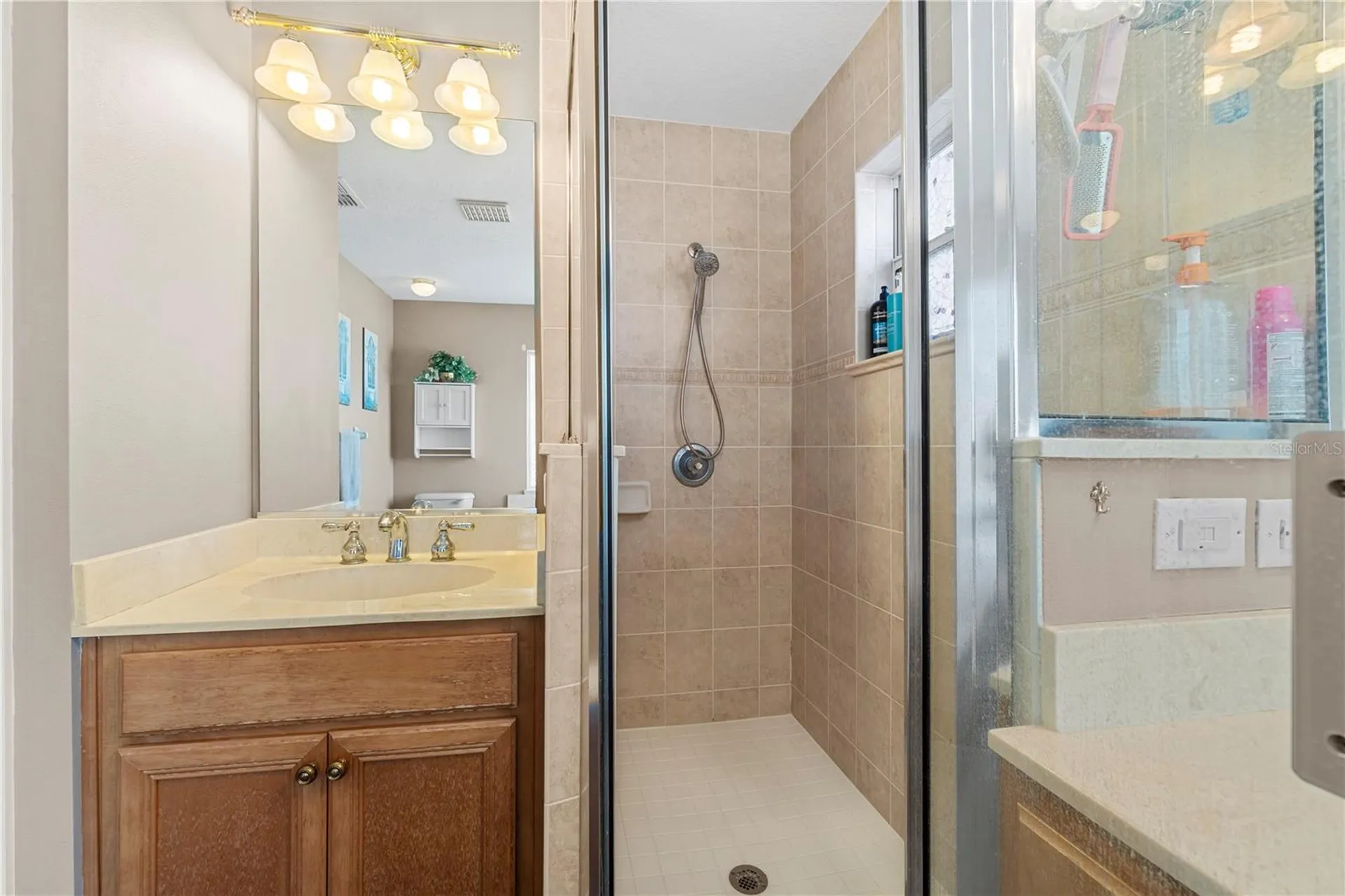 4642 SW 100th Lane Ocala FL 34476