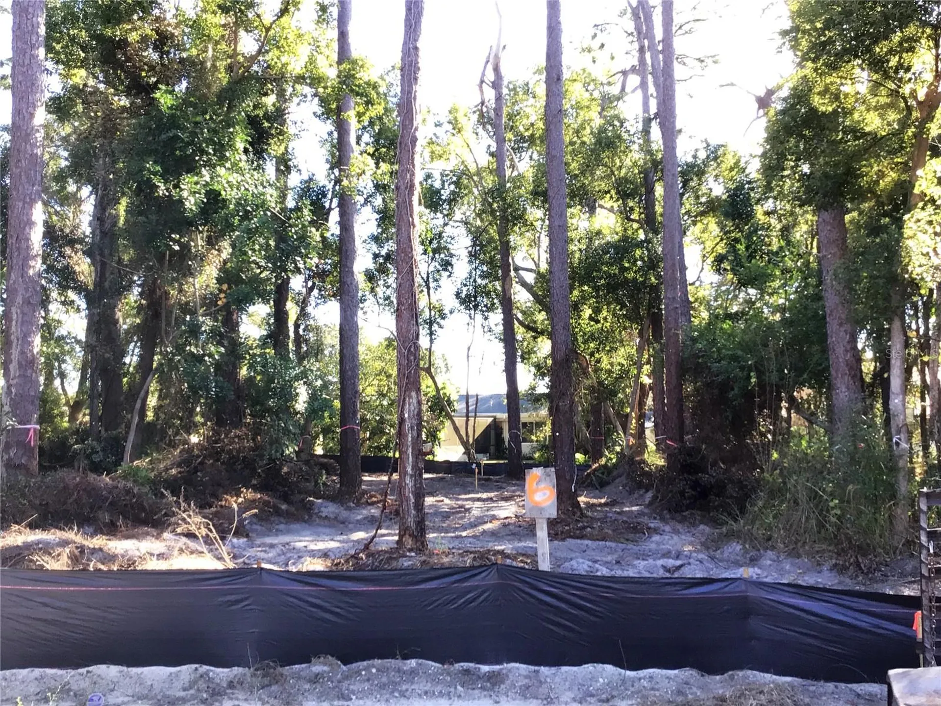 1298 Almaria Court Palm Harbor FL 34683