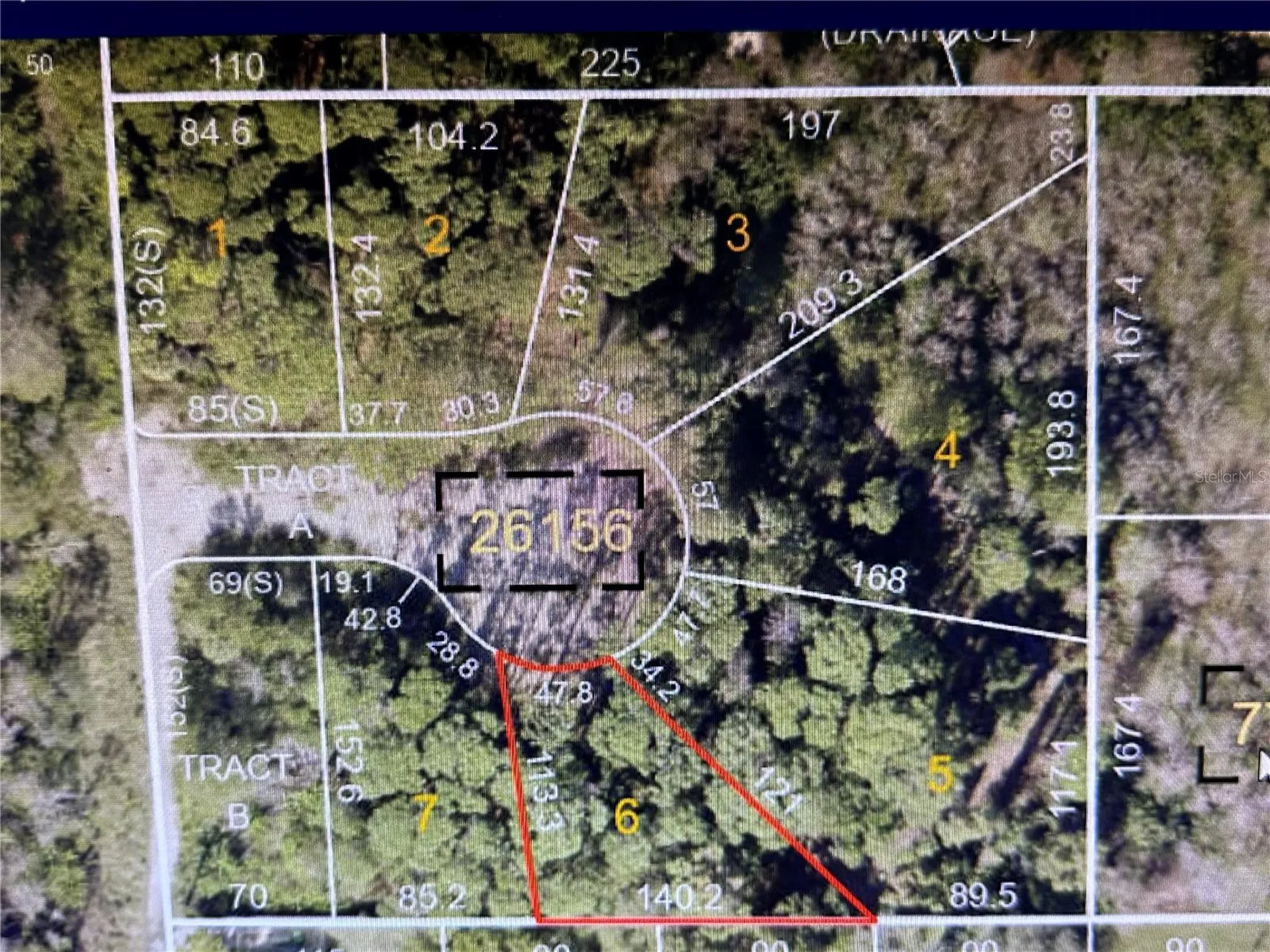1298 Almaria Court Palm Harbor FL 34683