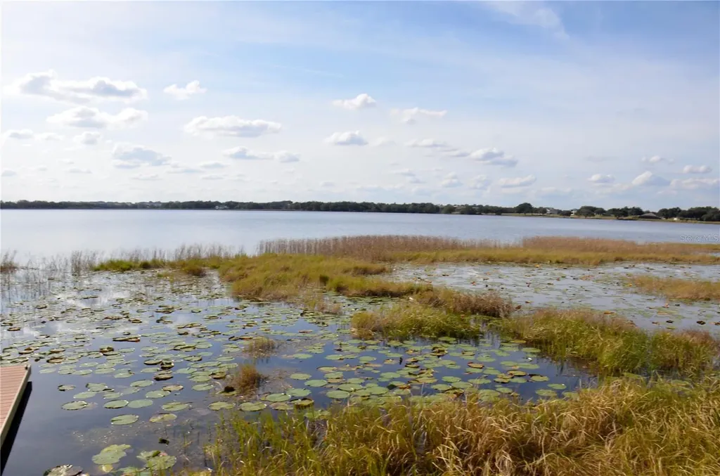 6877 Wilson Hammock Avenue Groveland FL 34736