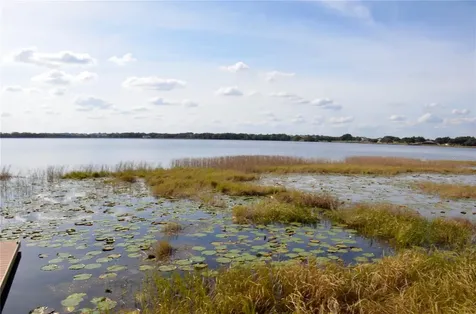 6877 Wilson Hammock Avenue Groveland FL 34736