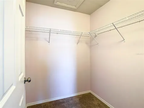 4907 White Sanderling Court Tampa FL 33619