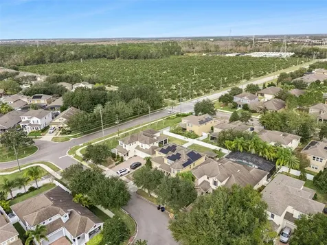 13339 Roskin Lane Windermere FL 34786