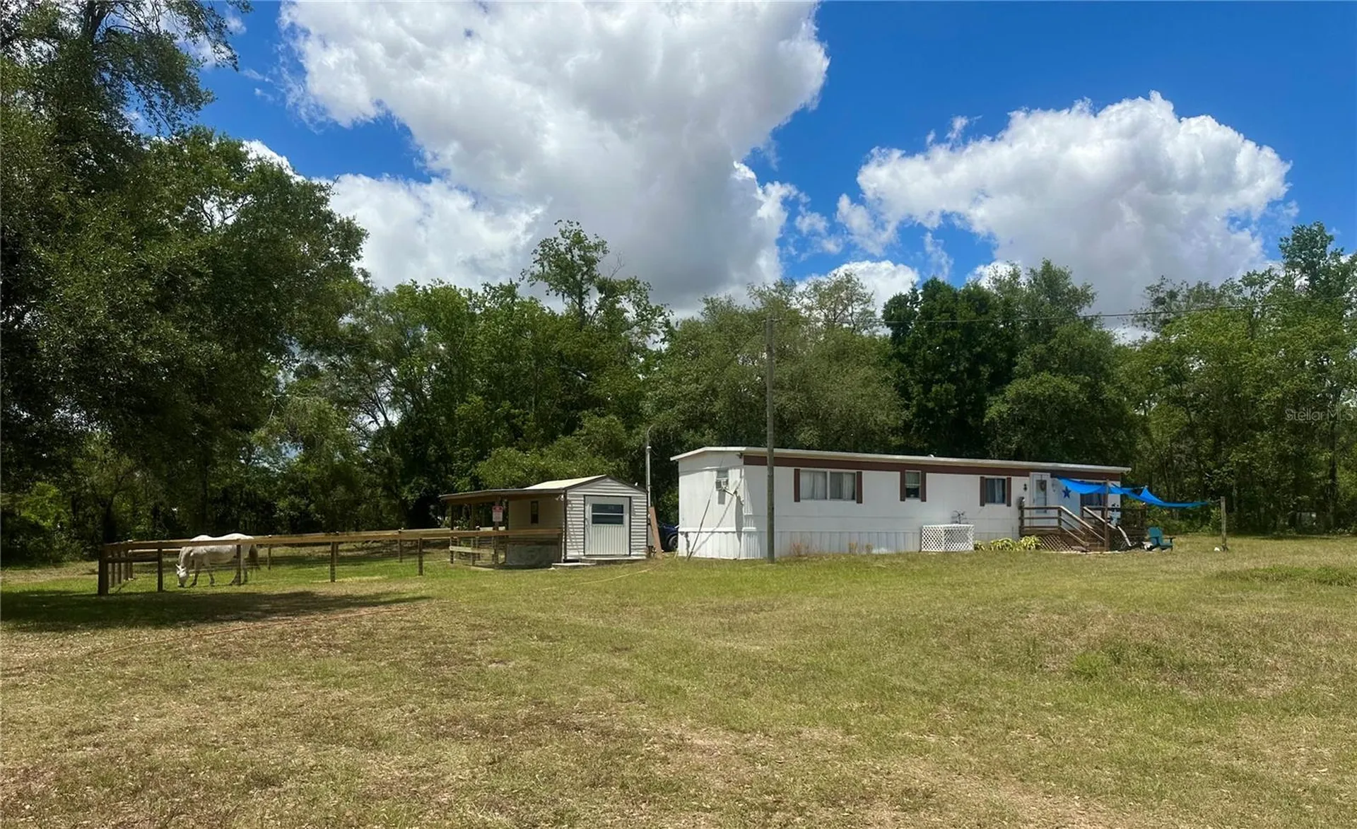 6250 SE 150th Avenue Morriston FL 32668