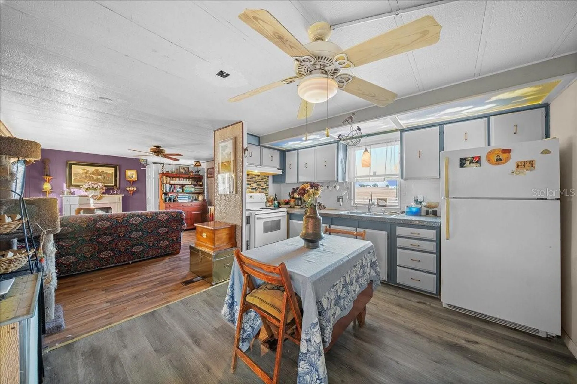 6250 SE 150th Avenue Morriston FL 32668