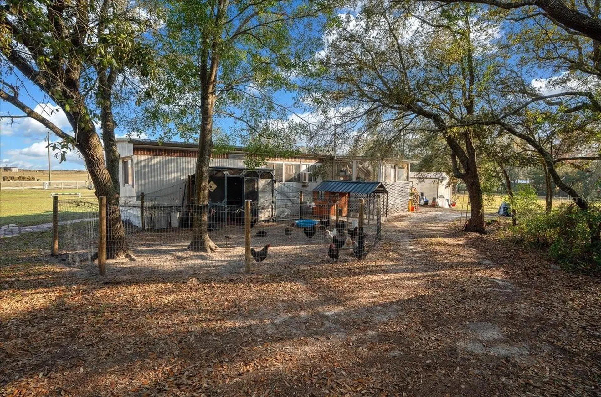 6250 SE 150th Avenue Morriston FL 32668