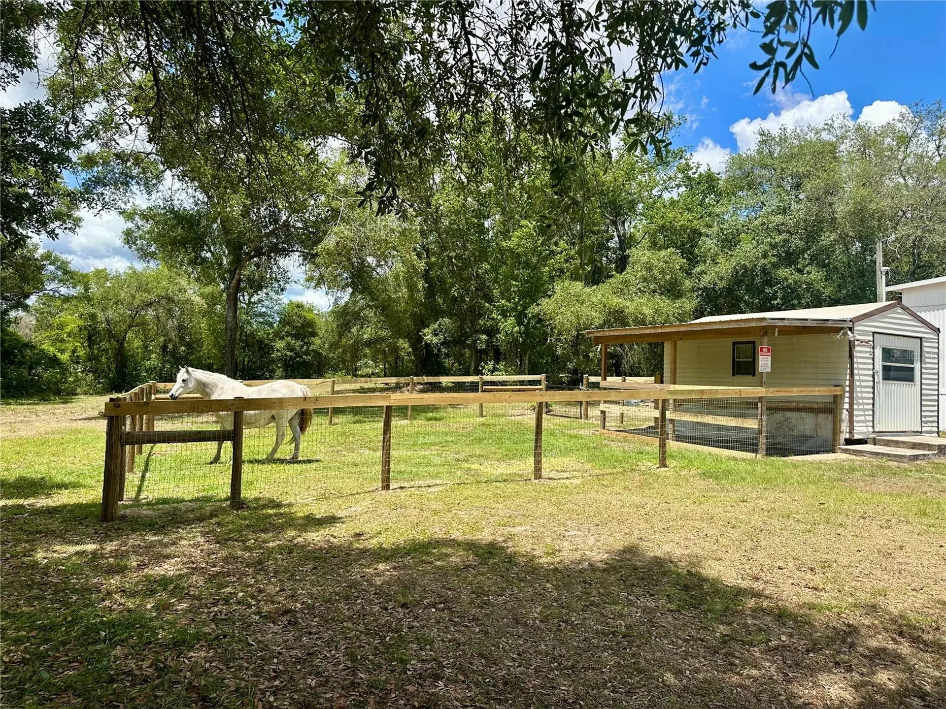 6250 SE 150th Avenue Morriston FL 32668