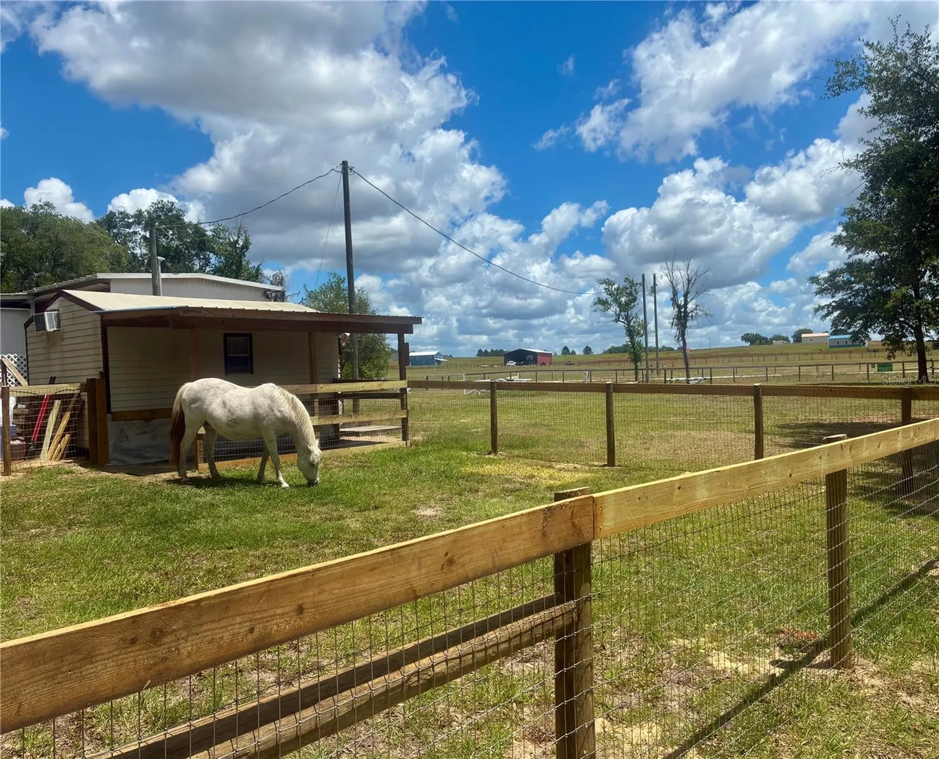 6250 SE 150th Avenue Morriston FL 32668