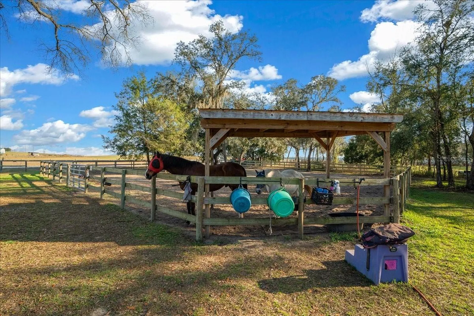 6250 SE 150th Avenue Morriston FL 32668