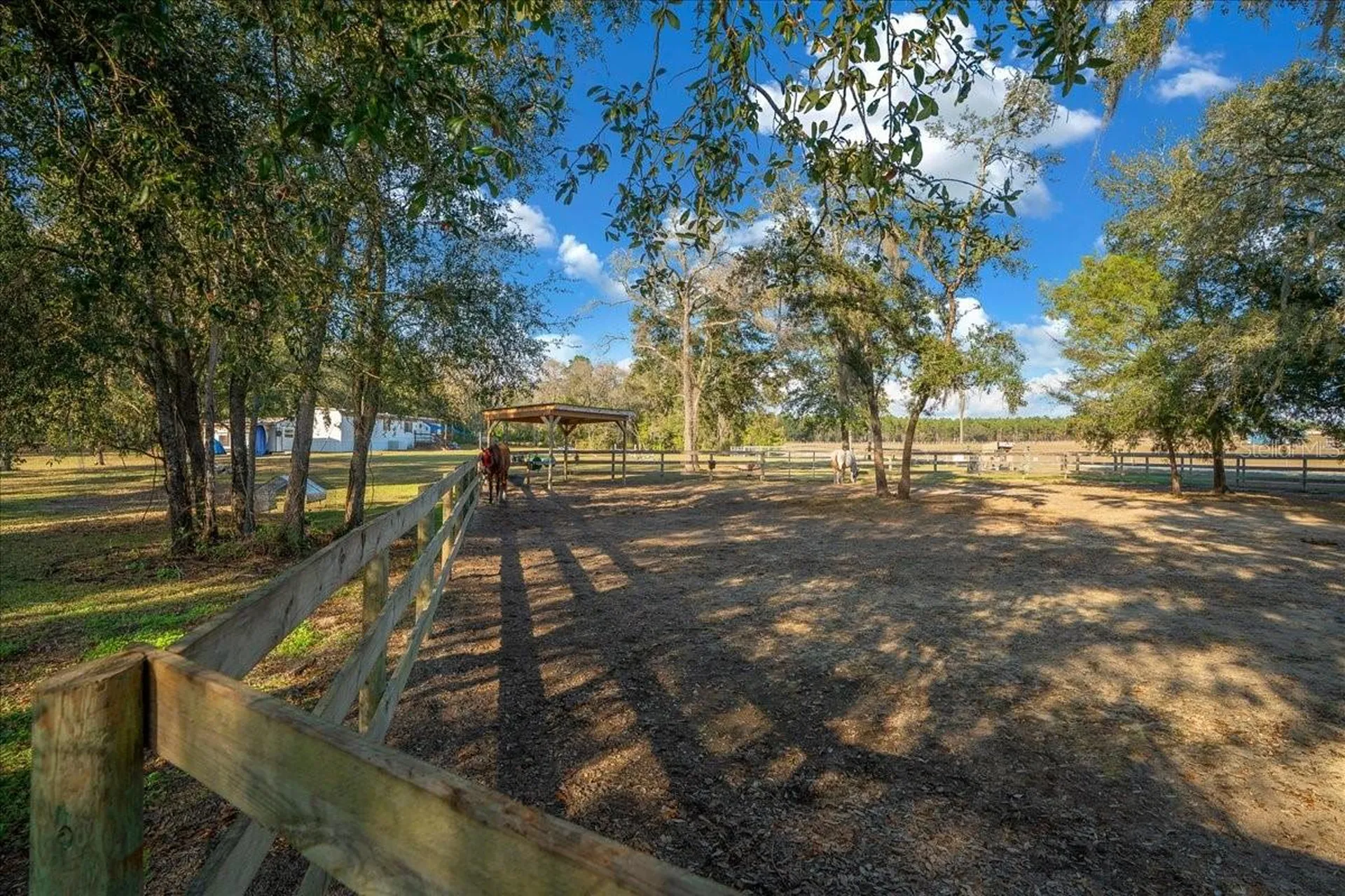 6250 SE 150th Avenue Morriston FL 32668