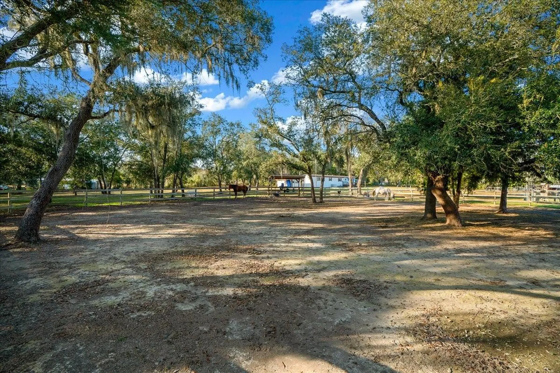 6250 SE 150th Avenue Morriston FL 32668