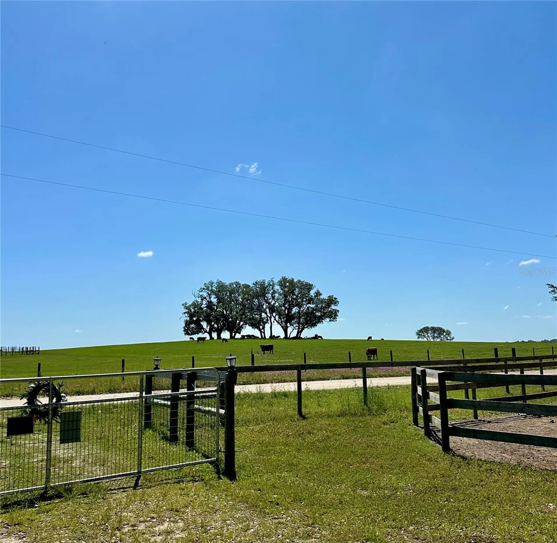 6250 SE 150th Avenue Morriston FL 32668
