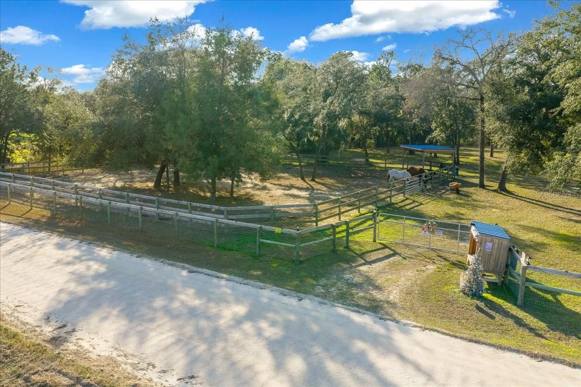 6250 SE 150th Avenue Morriston FL 32668