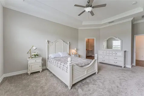 21378 Snowy Orchid Terrace Land O Lakes FL 34637