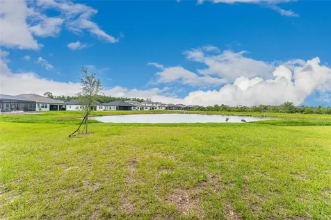 21378 Snowy Orchid Terrace Land O Lakes FL 34637