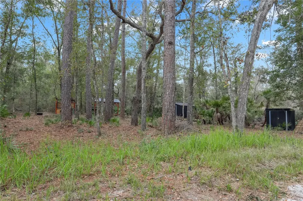 00 SE 929th Street Old Town FL 32680