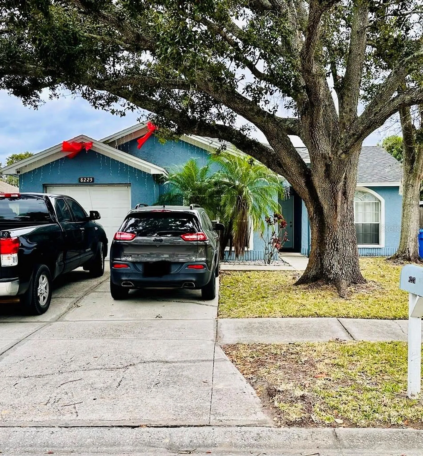 8225 Riverboat Drive Tampa FL 33637