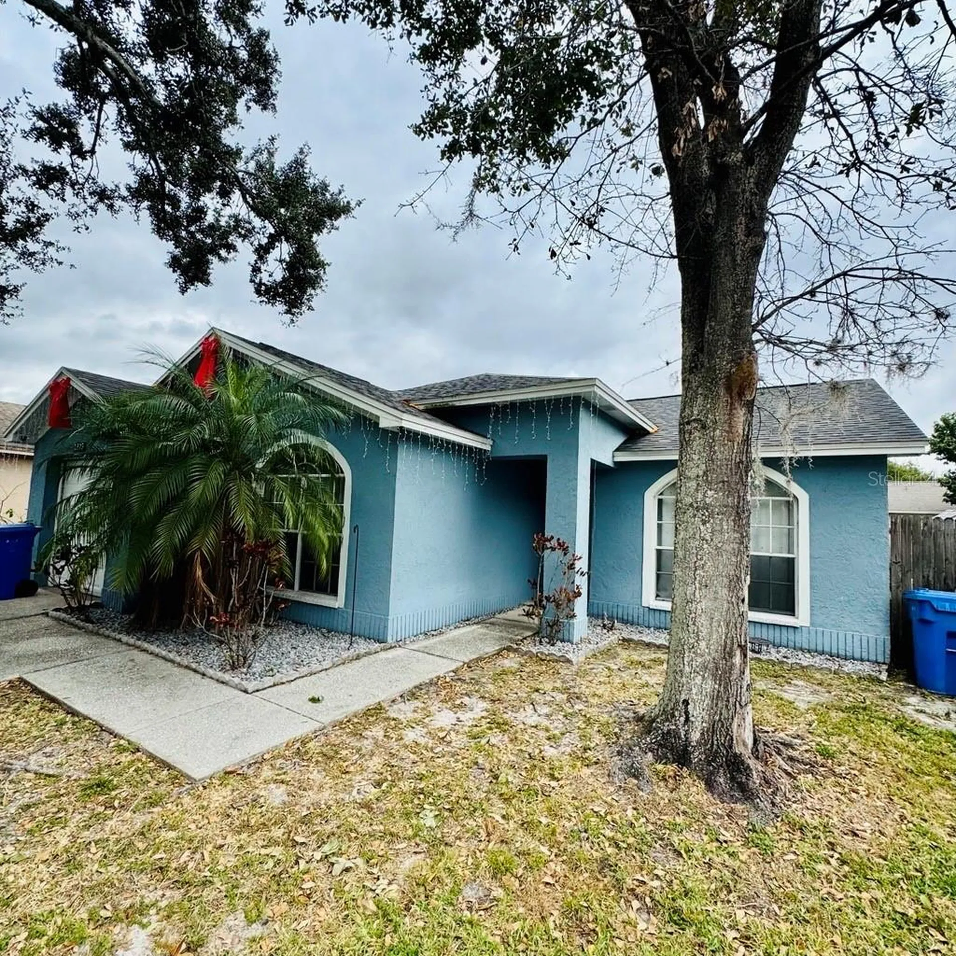 8225 Riverboat Drive Tampa FL 33637
