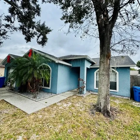 8225 Riverboat Drive Tampa FL 33637