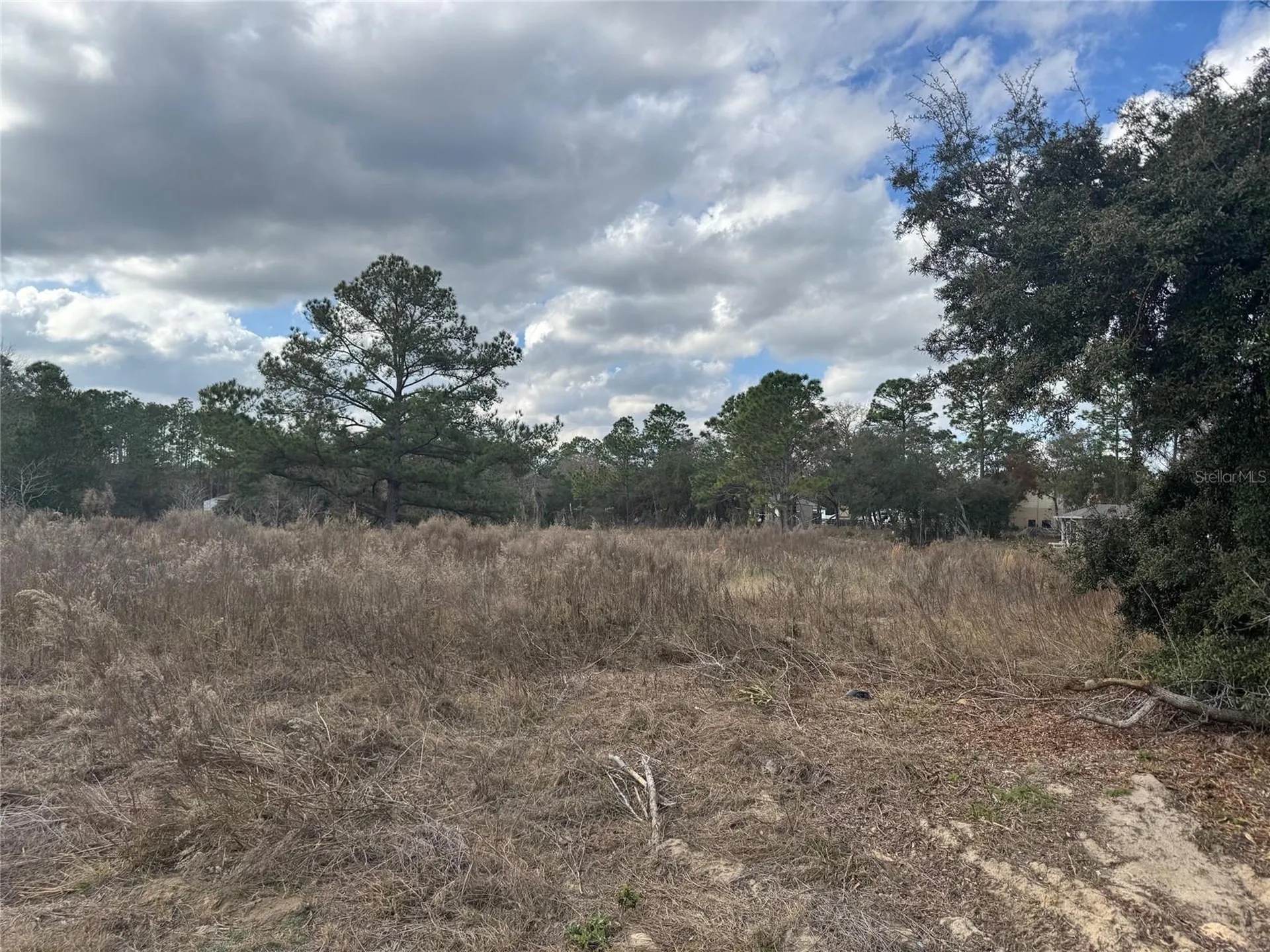 7514 N Voyager Drive Citrus Springs FL 34433