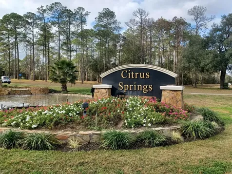 7514 N Voyager Drive Citrus Springs FL 34433