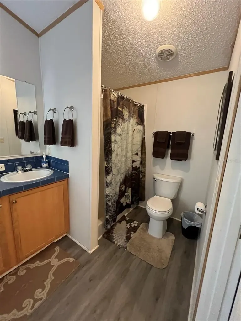 589 SW Cumorah Hill Street Fort White FL 32038