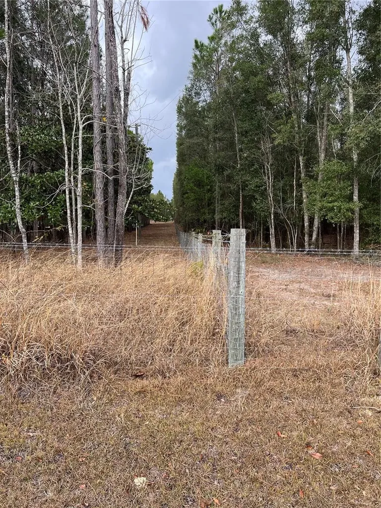 589 SW Cumorah Hill Street Fort White FL 32038