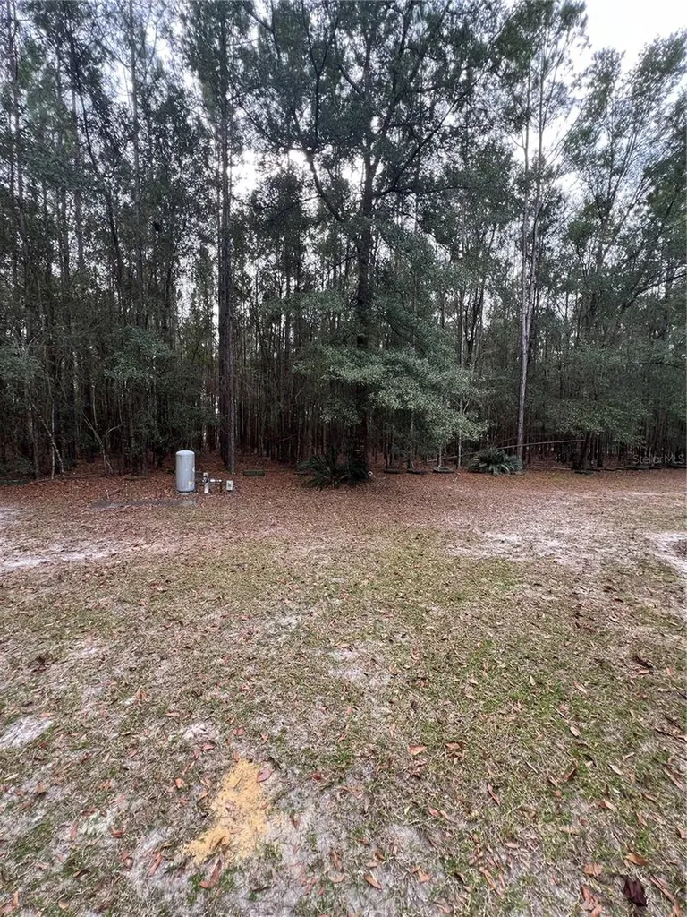 589 SW Cumorah Hill Street Fort White FL 32038
