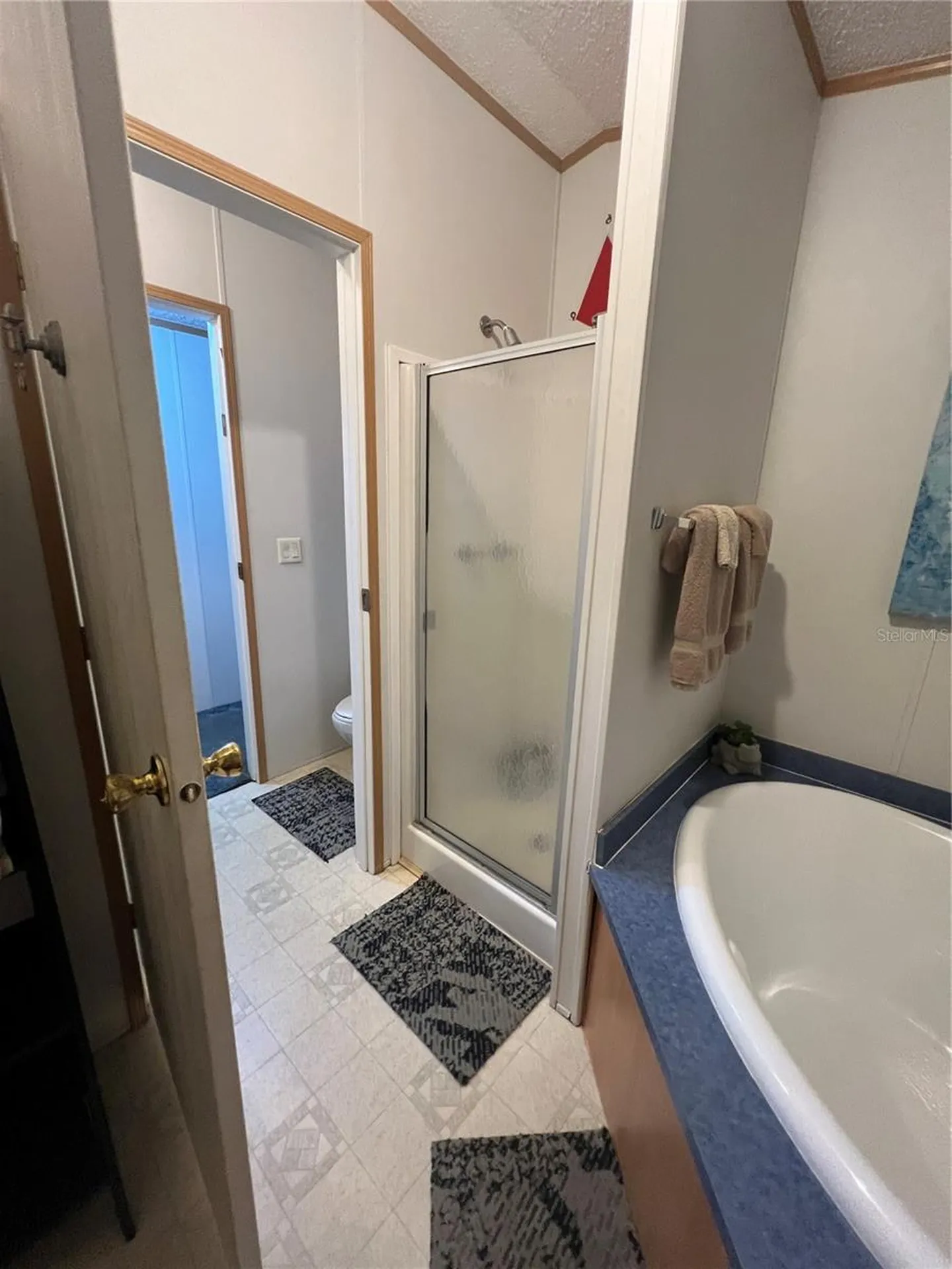 589 SW Cumorah Hill Street Fort White FL 32038