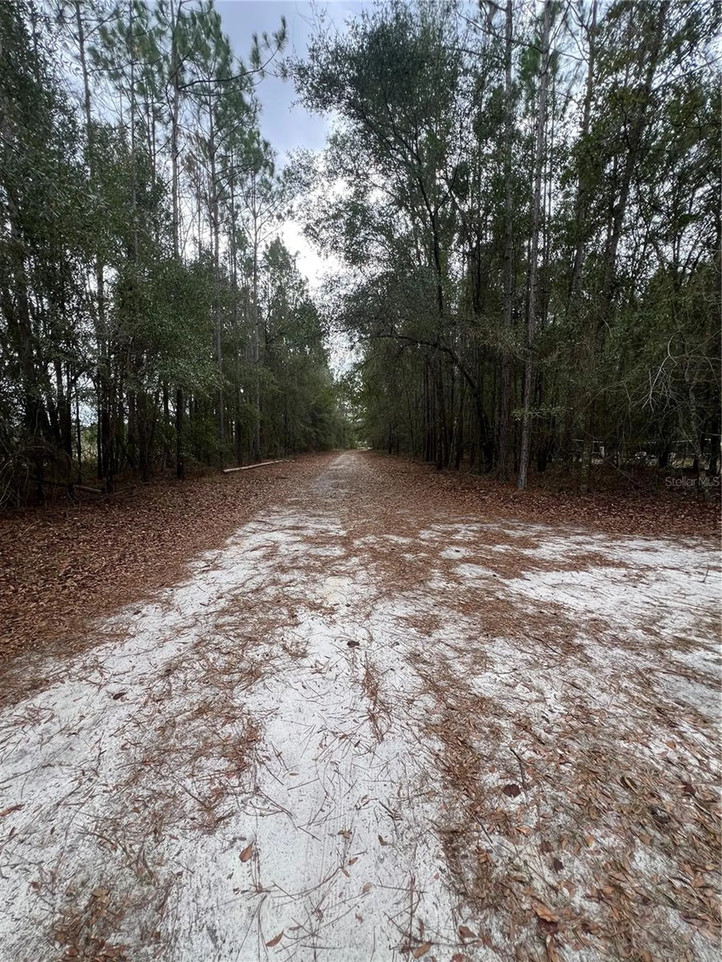 589 SW Cumorah Hill Street Fort White FL 32038