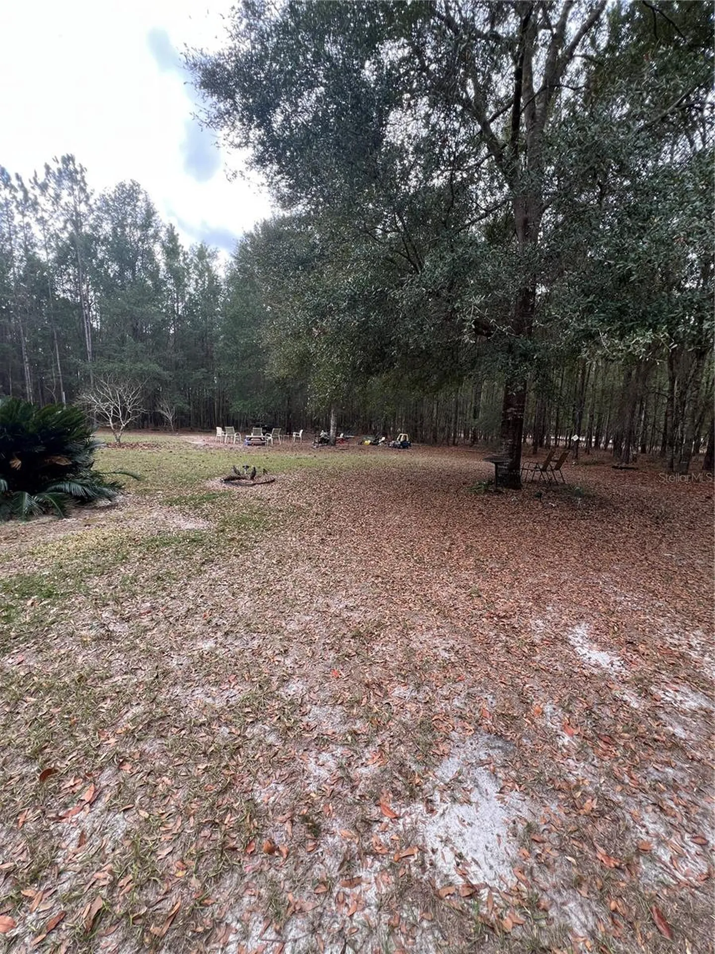 589 SW Cumorah Hill Street Fort White FL 32038