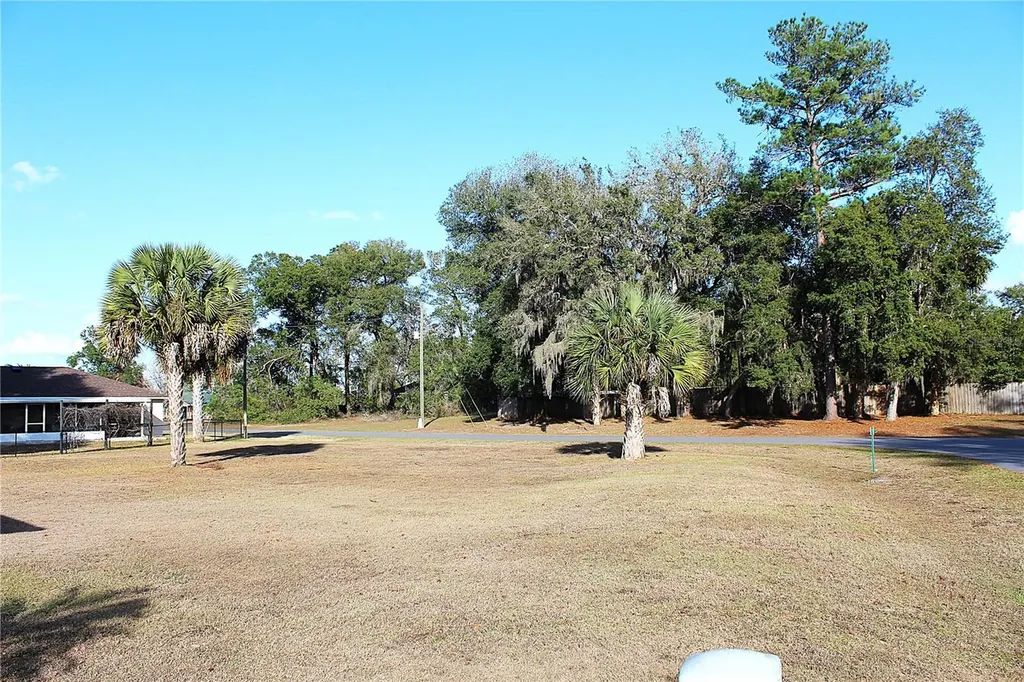 NE 6th Place Silver Springs FL 34488