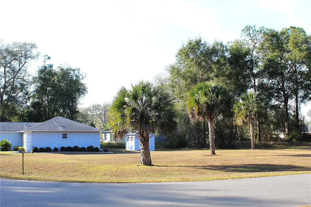 NE 6th Place Silver Springs FL 34488