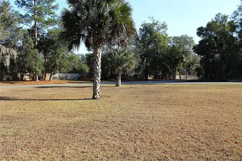 NE 6th Place Silver Springs FL 34488