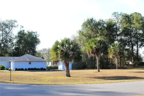NE 6th Place Silver Springs FL 34488