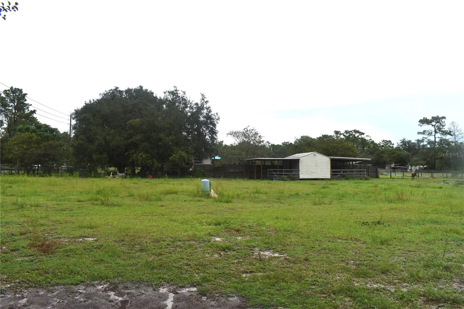 15355 SW 85th Avenue Dunnellon FL 34432