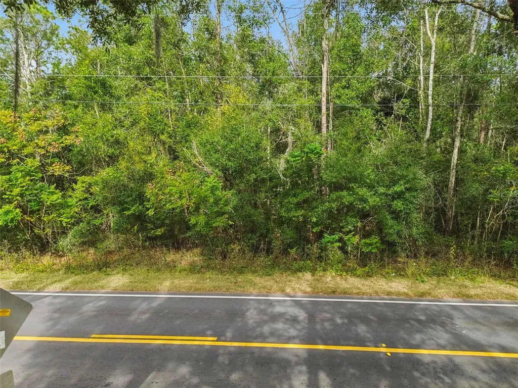 Centennial Road Dade City FL 33525