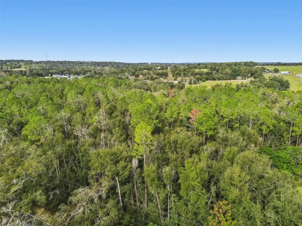 Centennial Road Dade City FL 33525