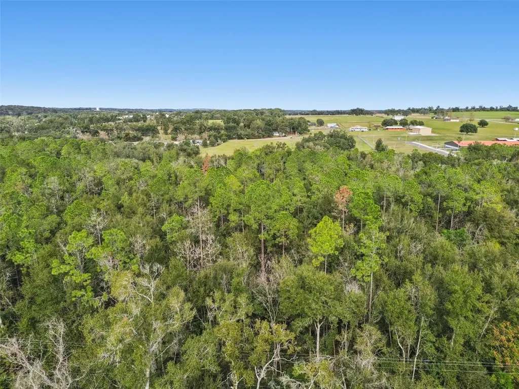 Centennial Road Dade City FL 33525