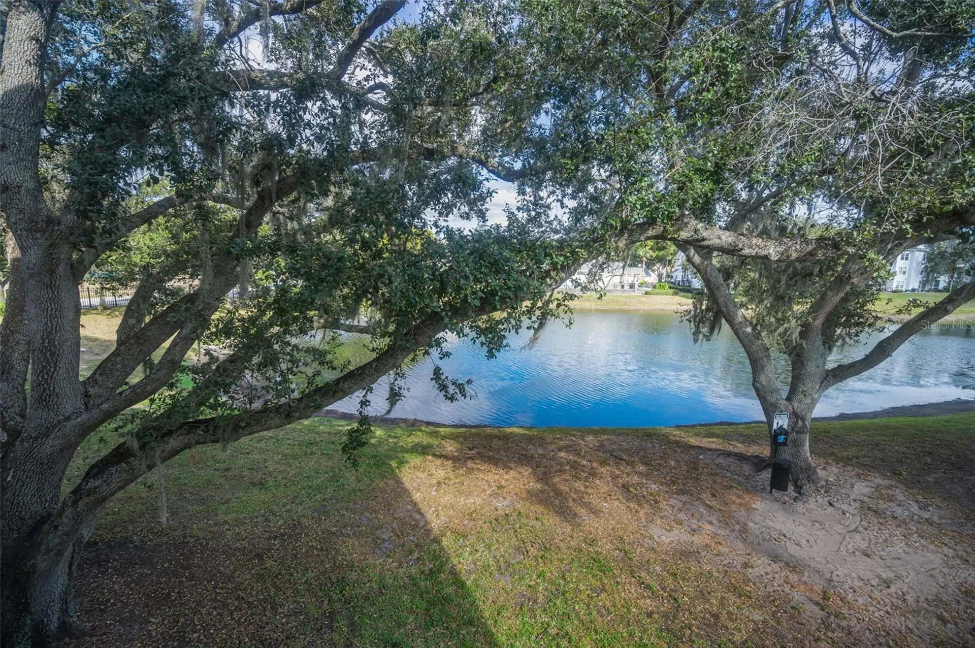 3261 Haviland Court Palm Harbor FL 34684
