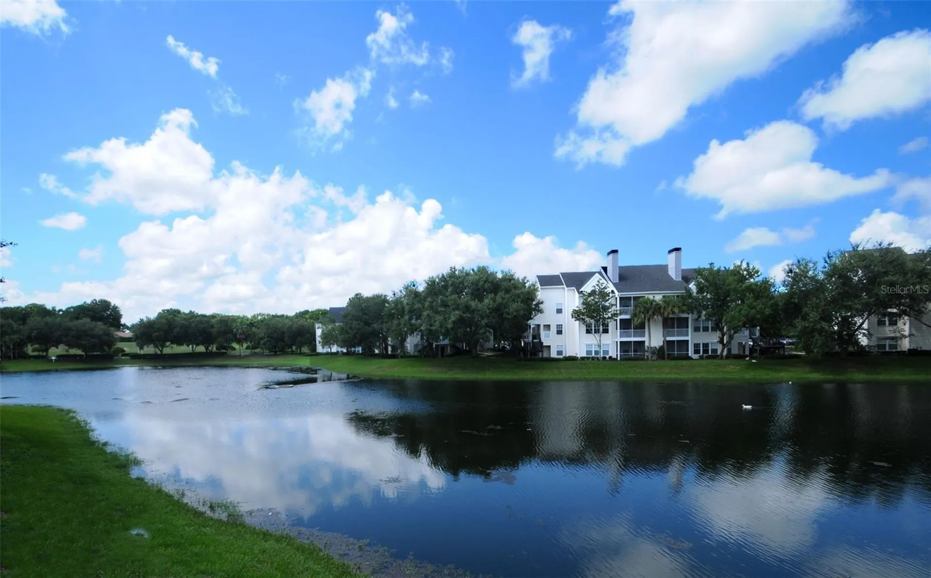 3261 Haviland Court Palm Harbor FL 34684