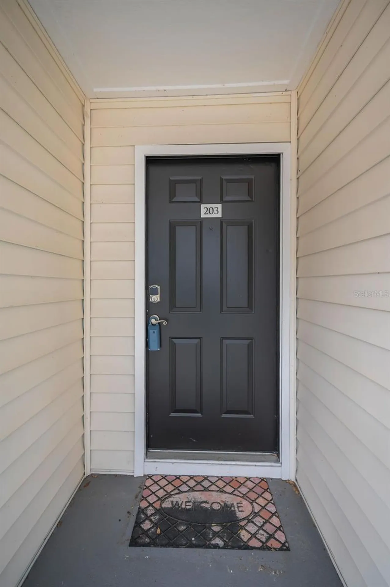3261 Haviland Court Palm Harbor FL 34684