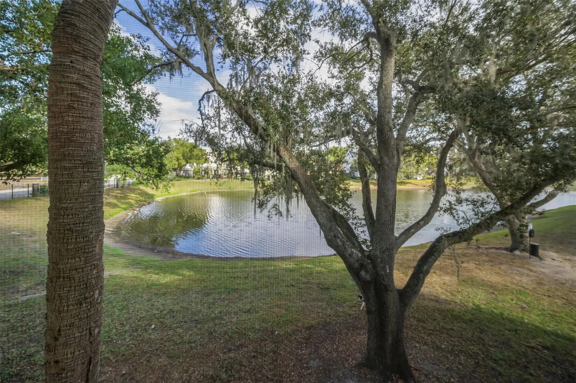 3261 Haviland Court Palm Harbor FL 34684