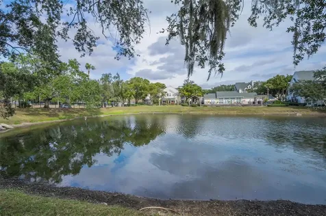 3261 Haviland Court Palm Harbor FL 34684