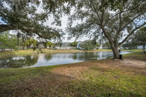 3261 Haviland Court Palm Harbor FL 34684