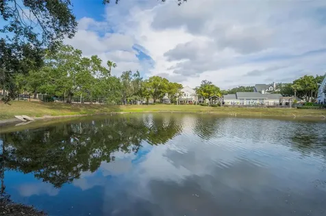 3261 Haviland Court Palm Harbor FL 34684