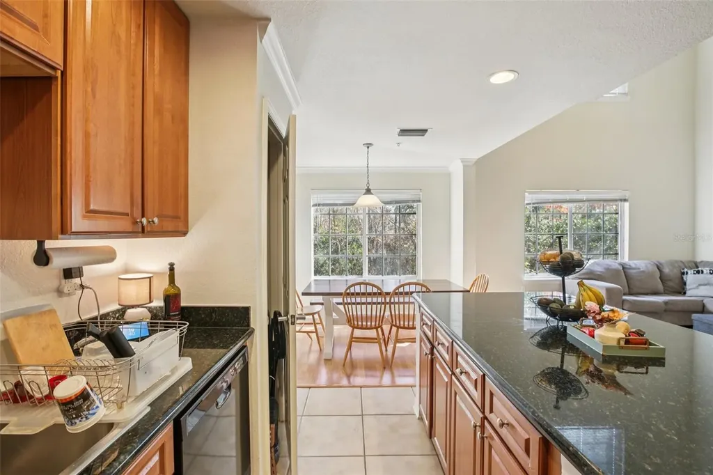 9872 Meadow Field Circle Tampa FL 33626