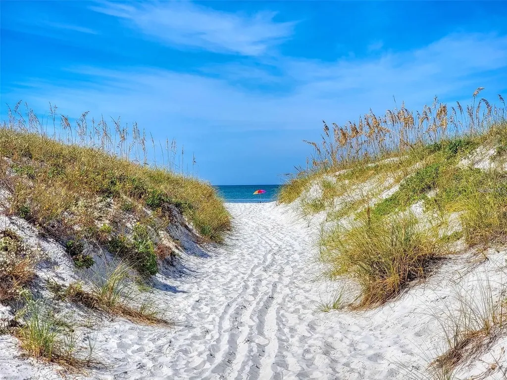 24 Avalon Street Clearwater FL 33767