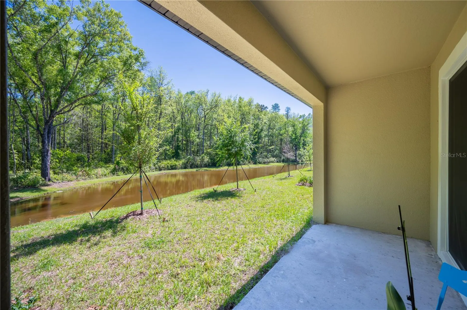 17399 Nectar Flume Drive Land O Lakes FL 34638
