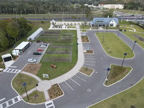 17399 Nectar Flume Drive Land O Lakes FL 34638